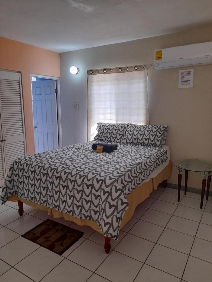 Camelia Rooms Κίνγκστον Εξωτερικό φωτογραφία