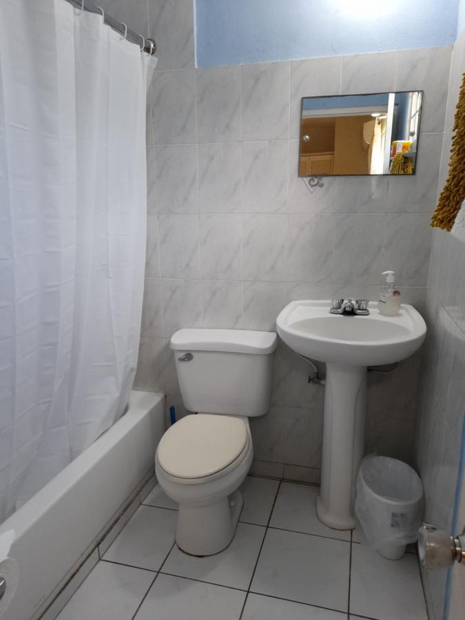 Camelia Rooms Κίνγκστον Εξωτερικό φωτογραφία