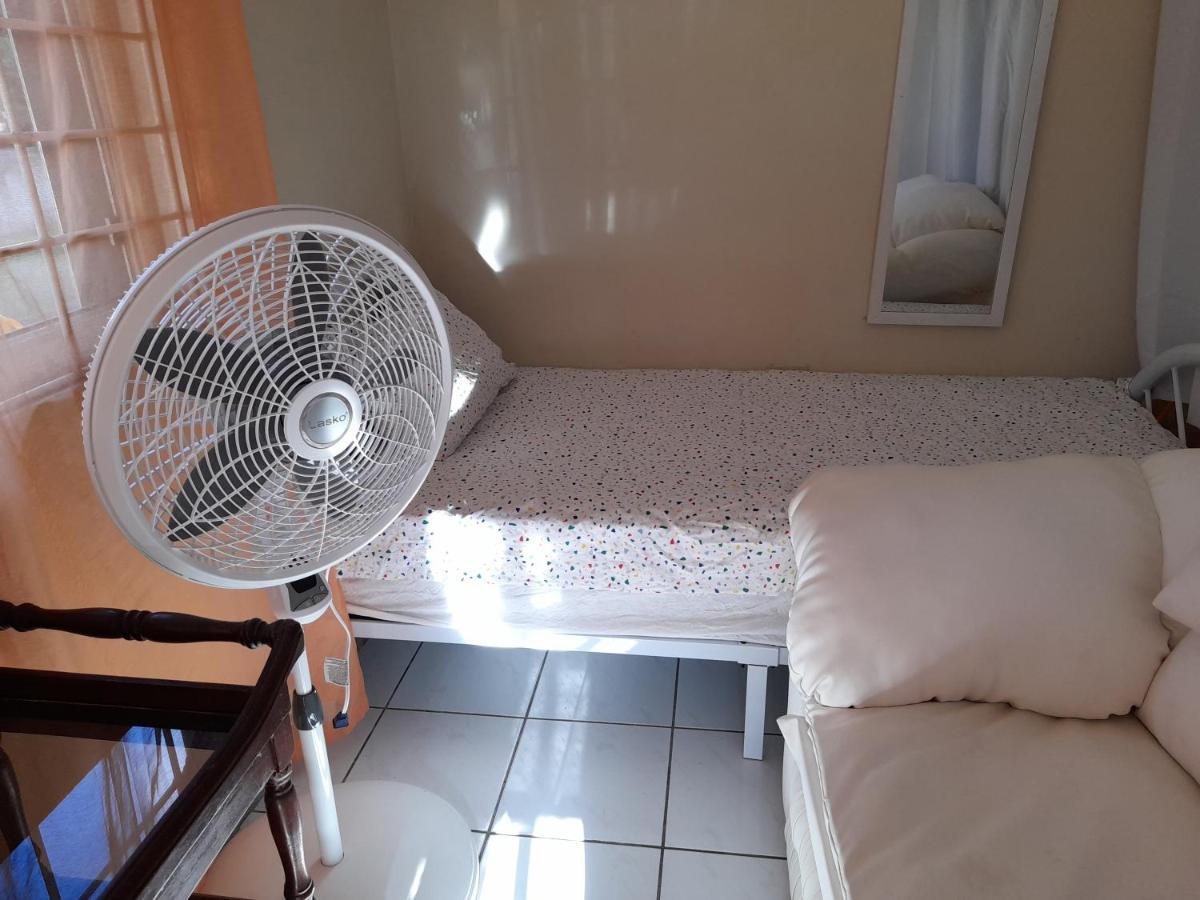 Camelia Rooms Κίνγκστον Εξωτερικό φωτογραφία