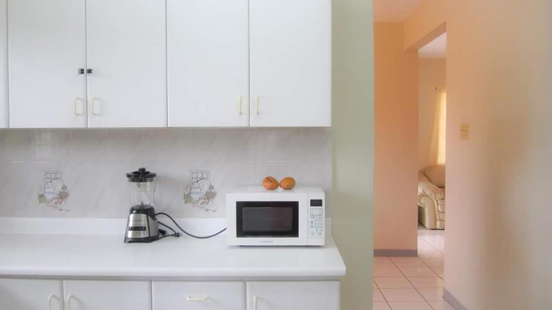 Camelia Rooms Κίνγκστον Εξωτερικό φωτογραφία